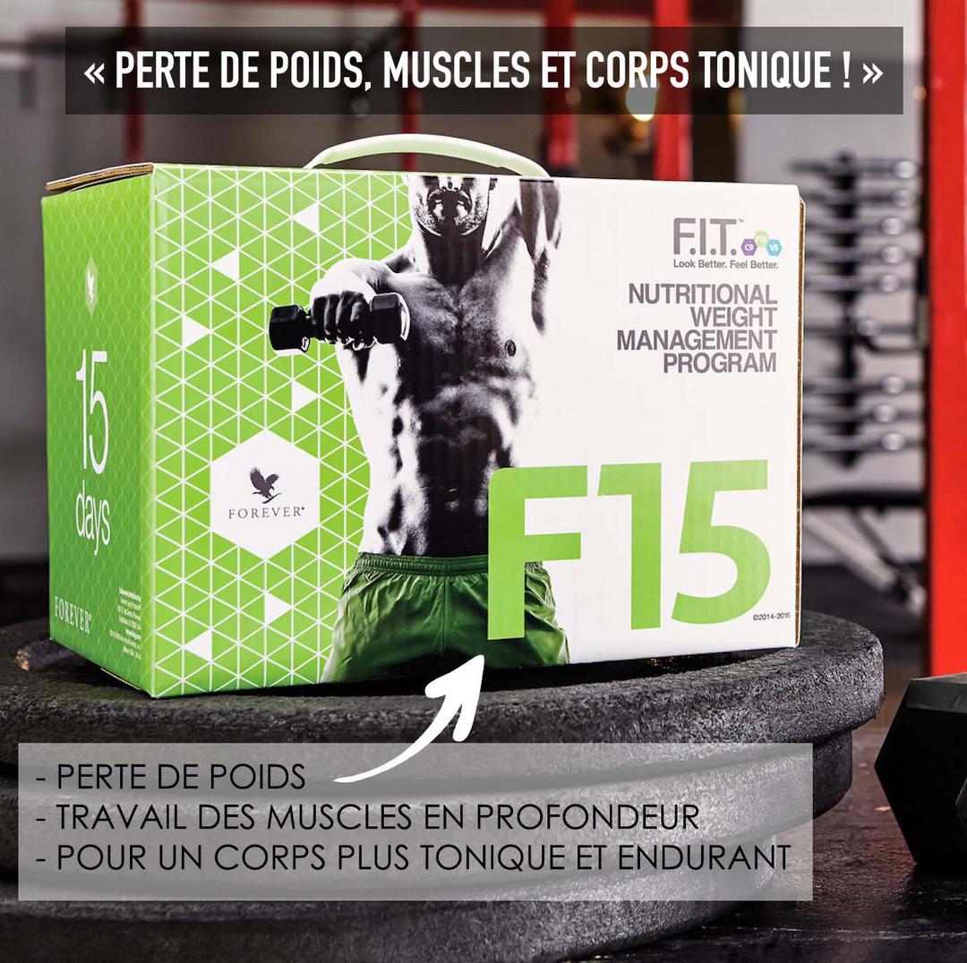 Programme Fit15 — Transformation durable